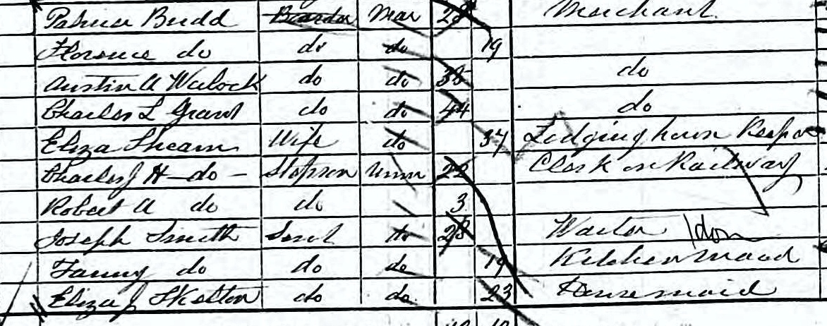 Eliza, the boys, and lodgers in 1881 Census