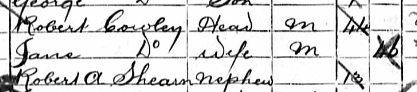 1881 Census - A Criminal in the Family