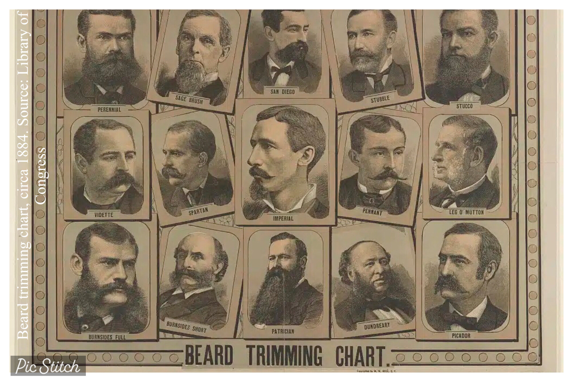 Beard Chart Beard Chart