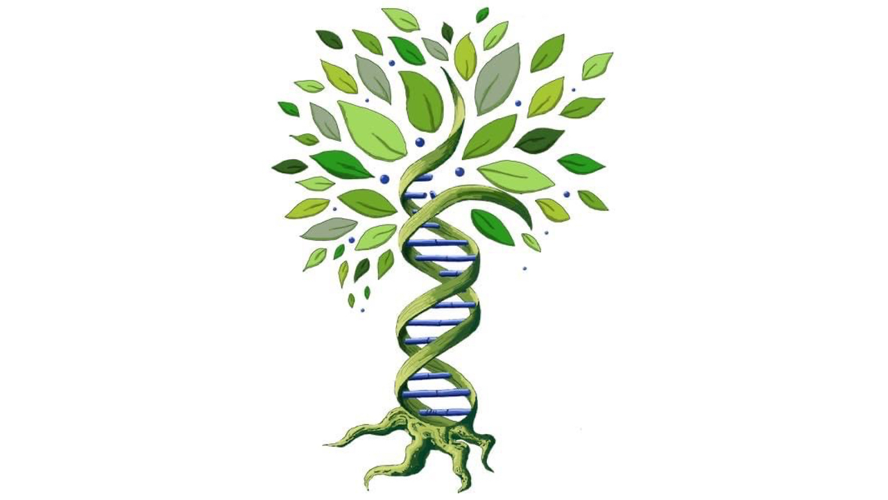 DNA and Genealogy DNA and Genealogy
