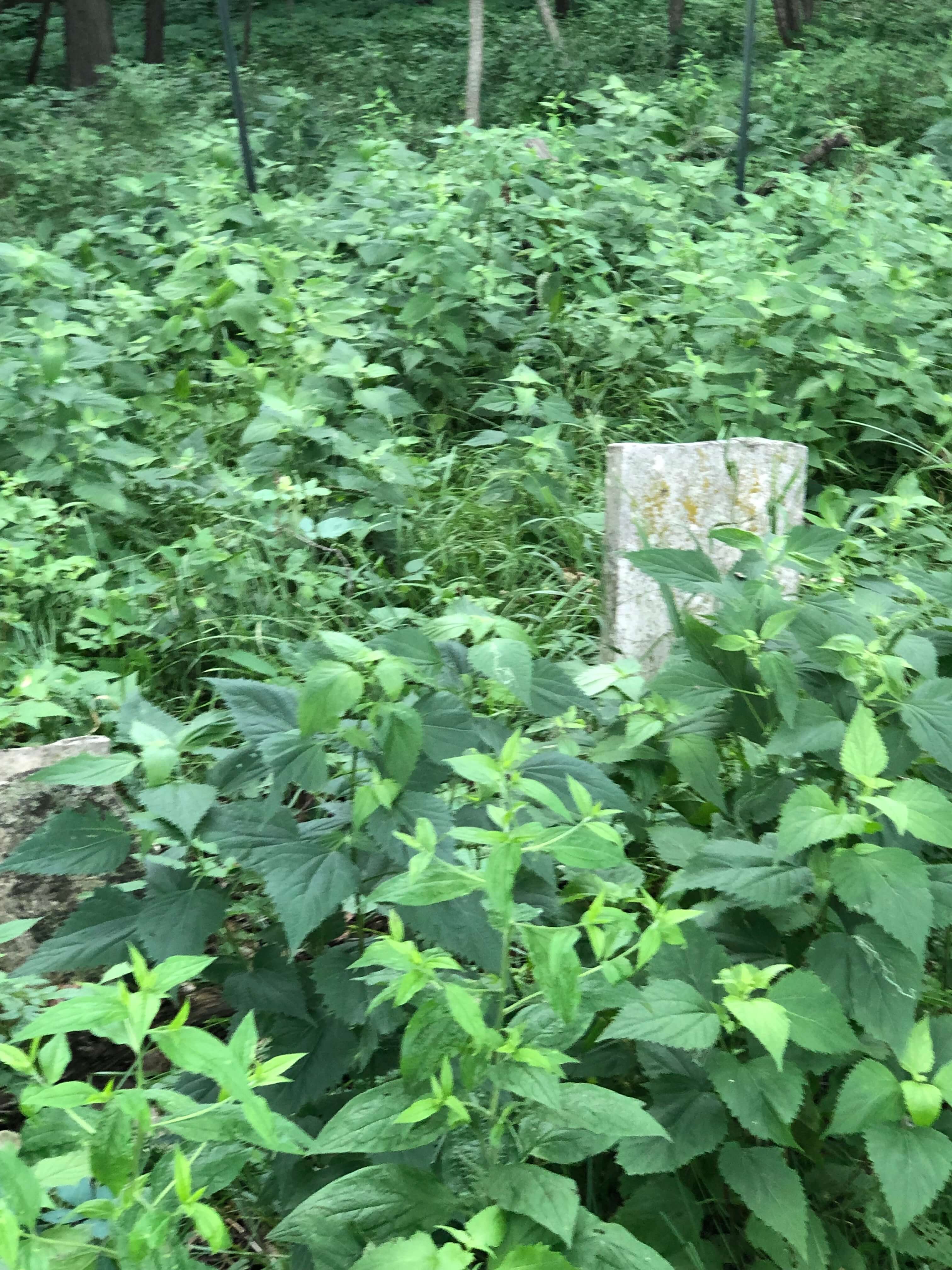 Family Cemetery on Private Land (Fourth Photo)