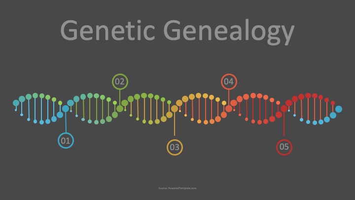 Genetic Genealogy