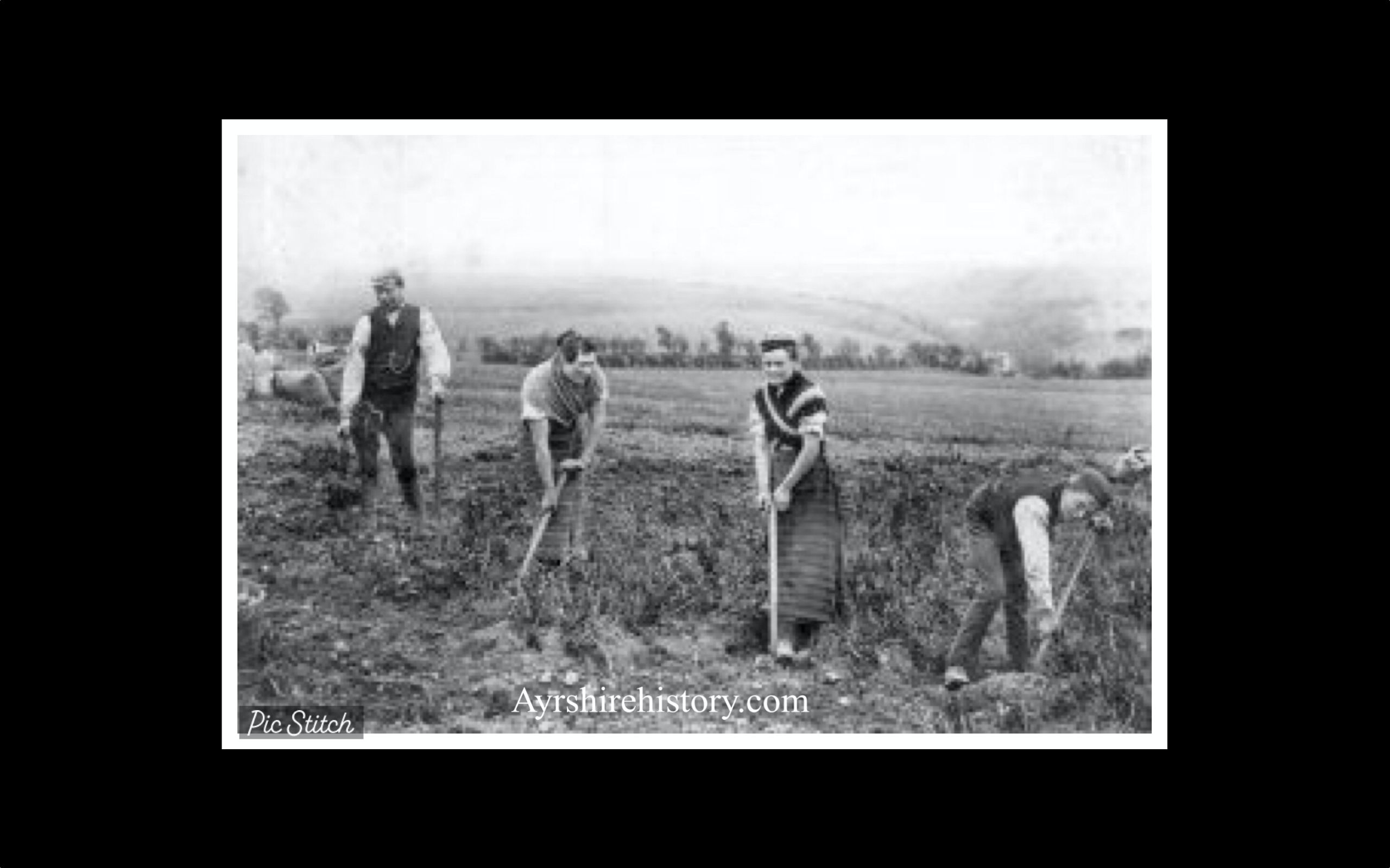Irish Family Farming Irish Family Farming
