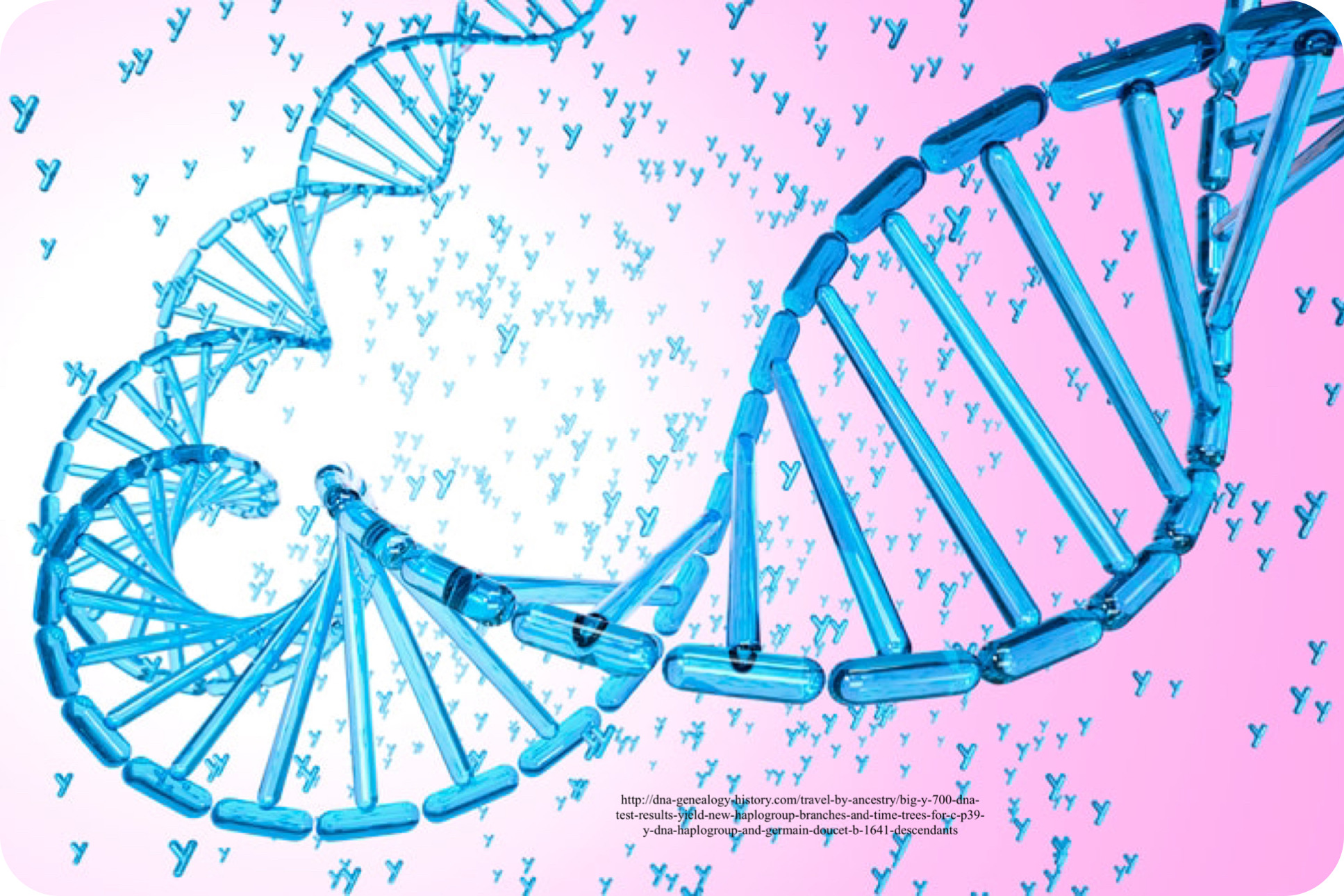 By-Y 700 DNA Double Helix By-Y 700 DNA Double Helix